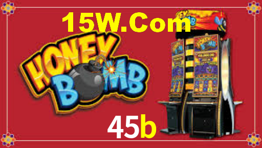 45b.com